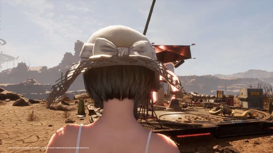 Songeda Mod 帽子 - 剑星服饰MOD下载_适配版本1-玩家动力